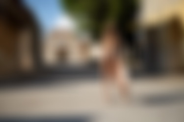[photodromm.com] 2019-10/[photodromm.com] - 2019.10.02 - Alina - Sicilian Affair (x46) 2000x3000/01l.jpg